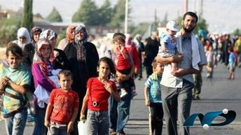 Dozens of displaced families return to Fallujah after the shelling stopped 5970754